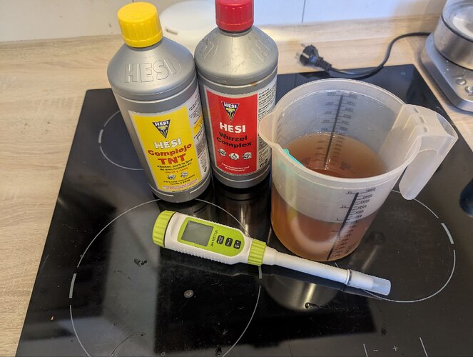 photo_2025-02-24_17-32-40