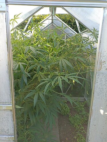 WhatsApp Bild 2024-07-20 um 17.32.53_4ee51d48