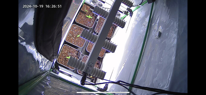 Growreport Bild 24