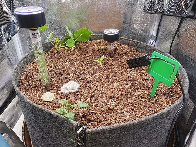 Tag 7 -2025-08-29-184754_004