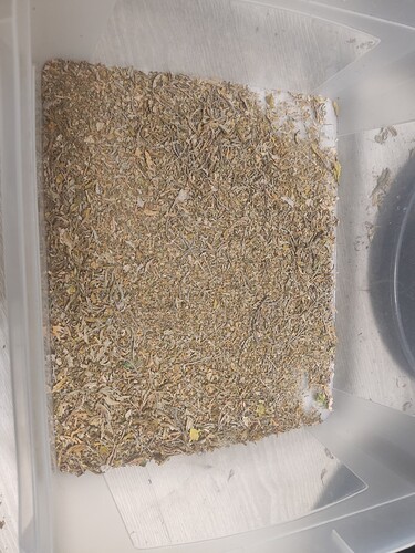 Growreport Bild 8