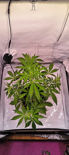 Growreport Bild 12