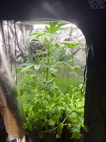 Growreport Bild 9