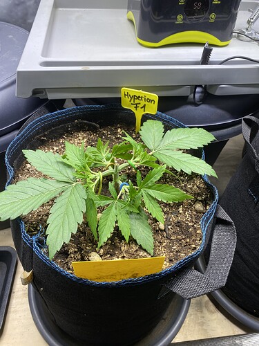 Growreport Bild 10