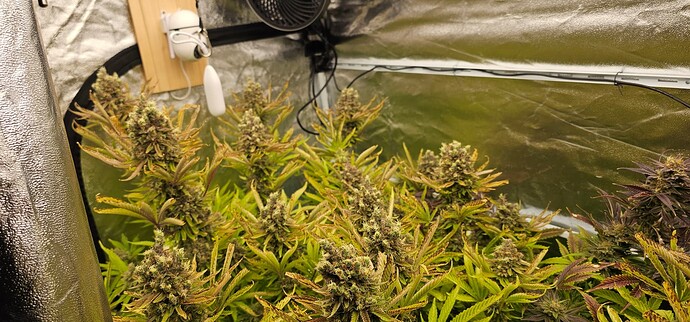 Growreport Bild 12