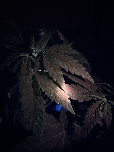 Growreport Bild 8