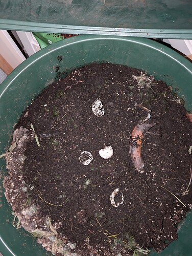 Growreport Bild 7
