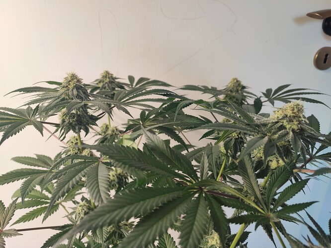 Growreport Bild 15