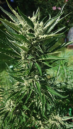 Growreport Bild 18