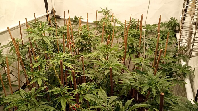 Growreport Bild 17