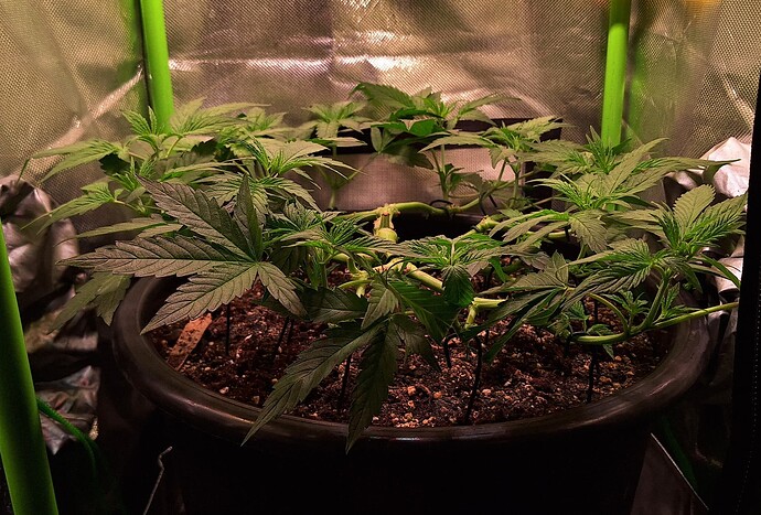 Growreport Bild 10