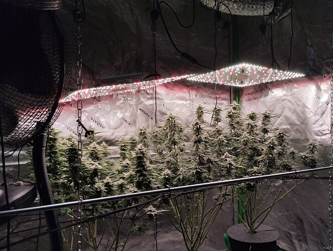 Growreport Bild 10