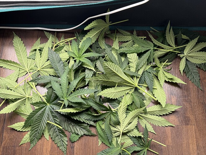Growreport Bild 3