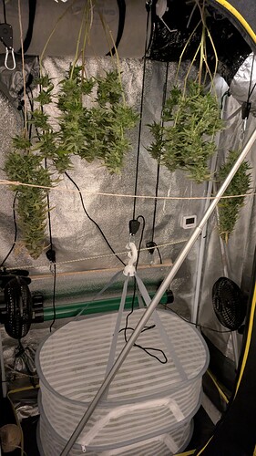 Growreport Bild 16