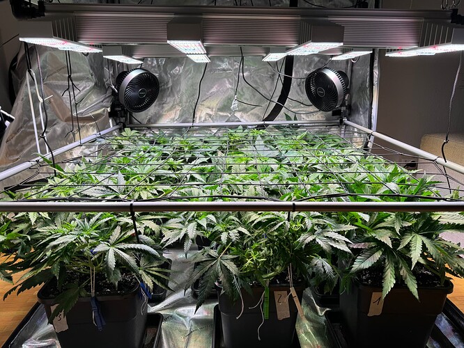 Growreport Bild 2
