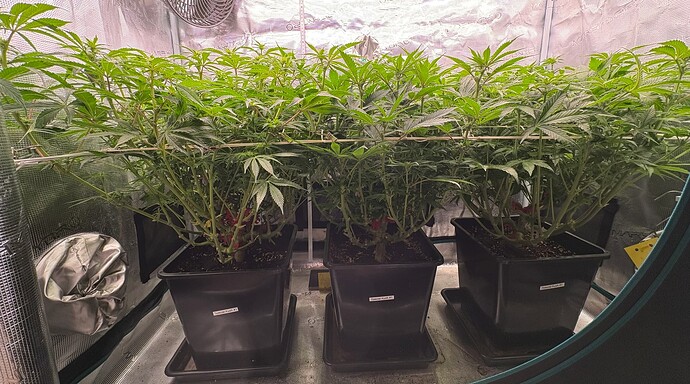 Foto 31.12.25, 06 31 43