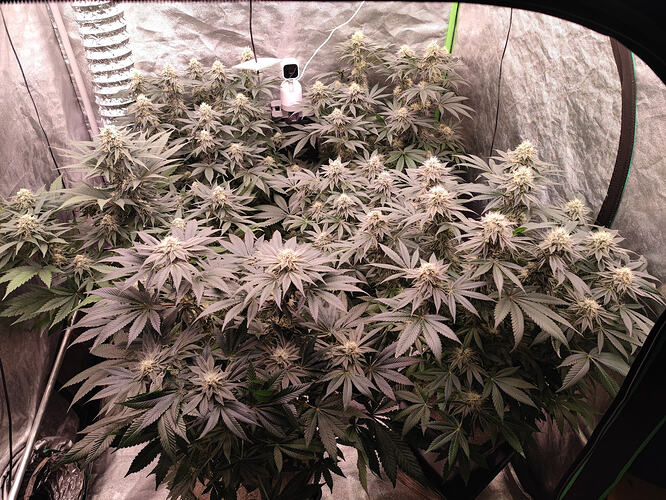 Growreport Bild 10