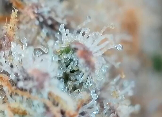 Growreport Bild 9