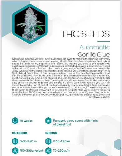 Growreport Bild 19