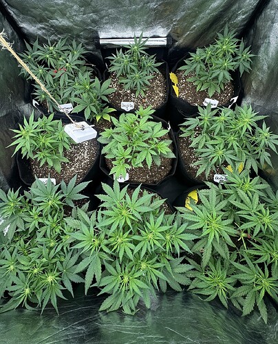 Growreport Bild 2
