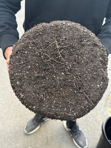 Growreport Bild 51