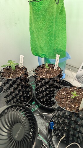 PXL_20250319_134801585.MP