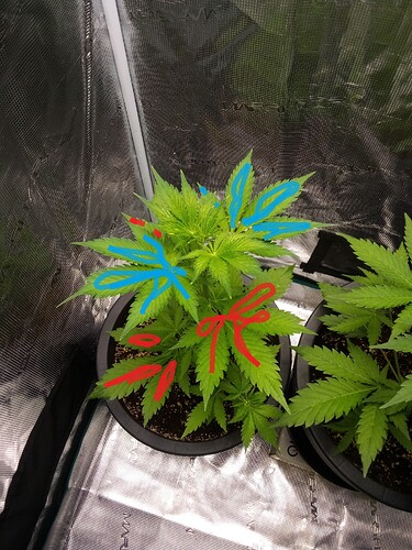 IMG_2025-03-28-12-06-56-380