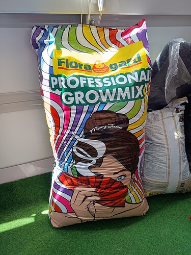 Growreport Bild 13
