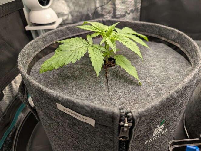 Growreport Bild 11