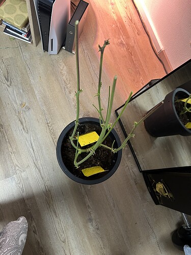 Growreport Bild 11