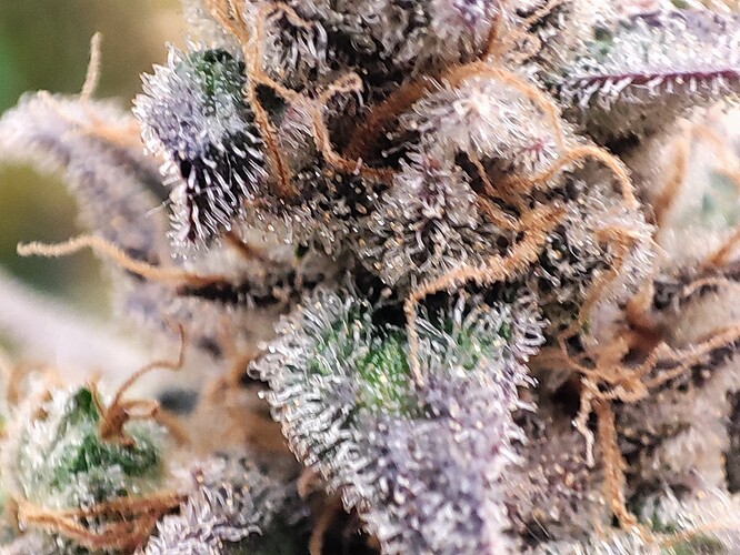 Growreport Bild 24