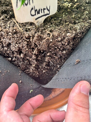 Growreport Bild 3