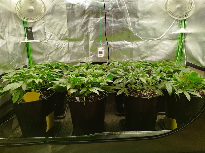 Growreport Bild 7
