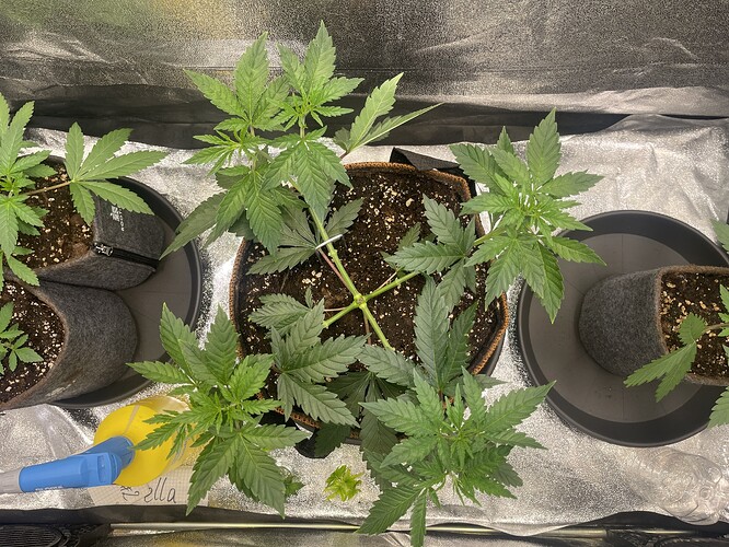Growreport Bild 14