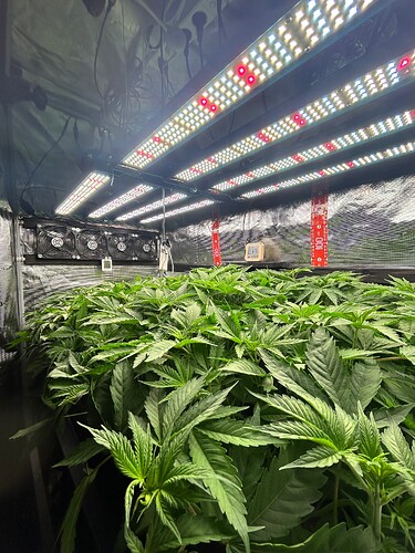 Growreport Bild 11