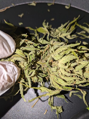 PXL_20240813_144856241