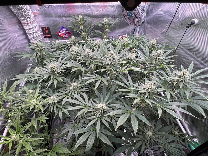 Growreport Bild 8