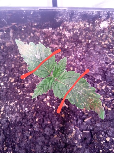 IMG_20240416_093857_555~2