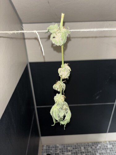 Growreport Bild 21