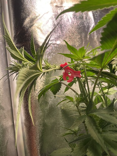 Growreport Bild 8
