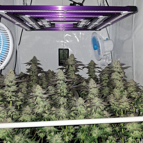 480960475_122169510824293599_2263205803037450390_n