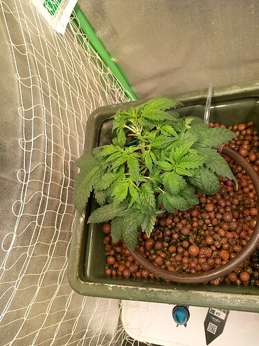 Growreport Bild 11