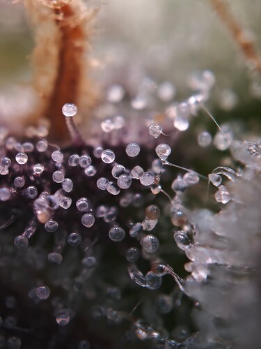 MVIMG_20251125_175850