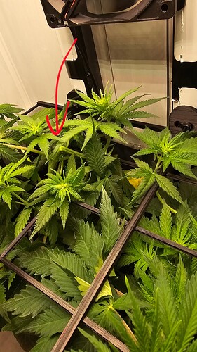 Growreport Bild 4