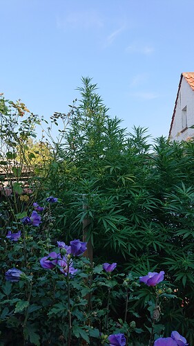 Growreport Bild 11