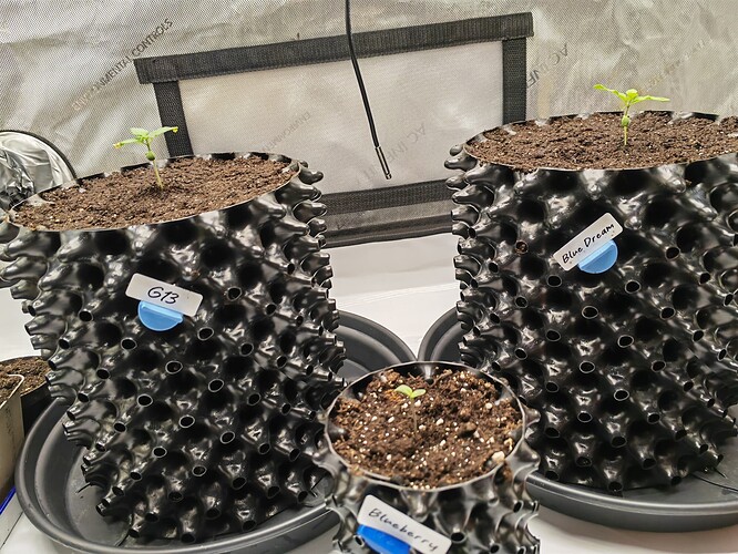 Growreport Bild 23