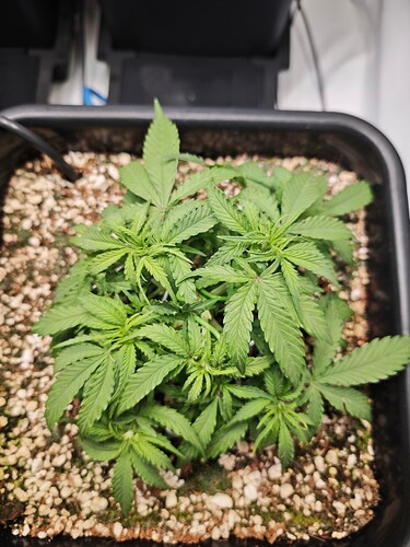 MVIMG_20251009_175328