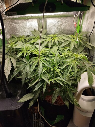 Growreport Bild 4