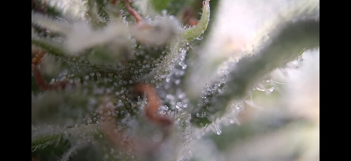 Growreport Bild 16