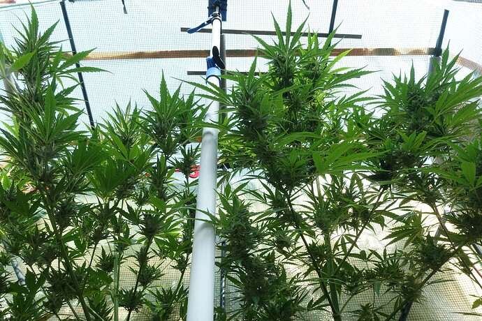 Growreport Bild 14